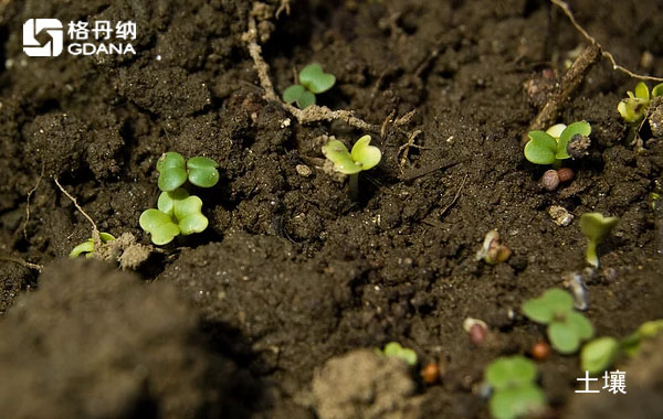 陶瓷加熱板四酸消解農(nóng)田土壤詳細(xì)步驟